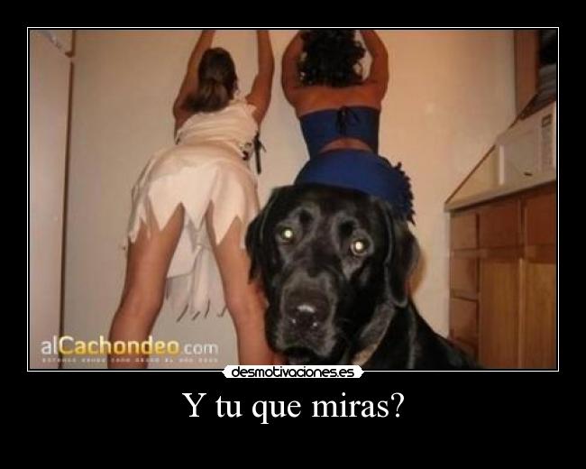 Y tu que miras? -