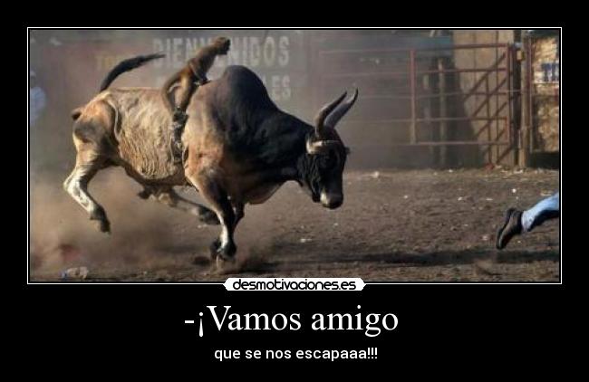 -¡Vamos amigo  - 
