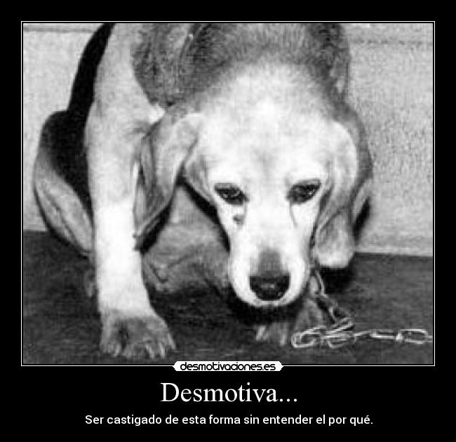 Desmotiva... - 
