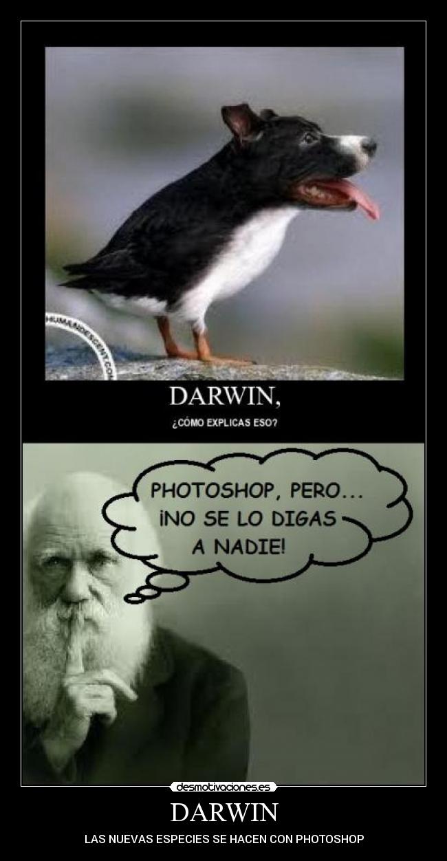 carteles torrente walt_k walt gato desmotivaciones cartel cola principal tuenti photoshop messenger darwin desmotivaciones