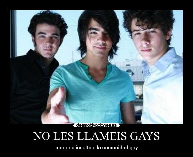 NO LES LLAMEIS GAYS - 