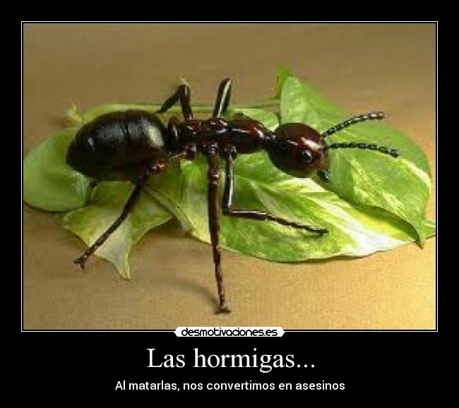 Las hormigas... - Al matarlas, nos convertimos en asesinos