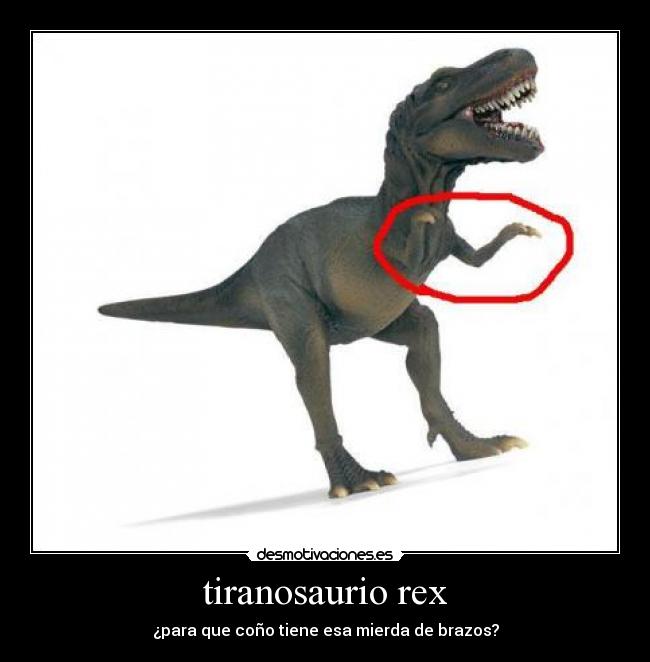 tiranosaurio rex -