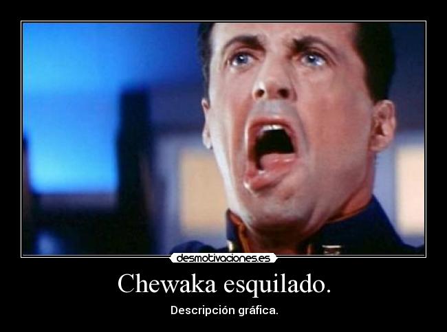 Chewaka esquilado. - 