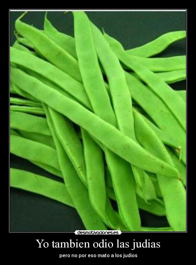 Yo tambien odio las judias - 