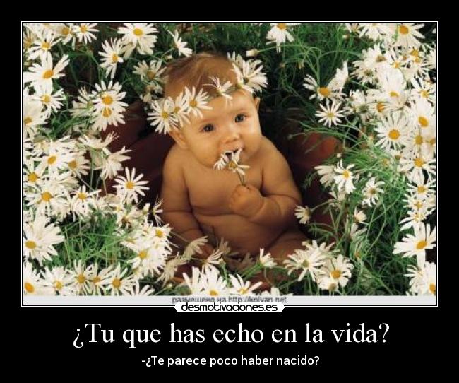 ¿Tu que has echo en la vida? -