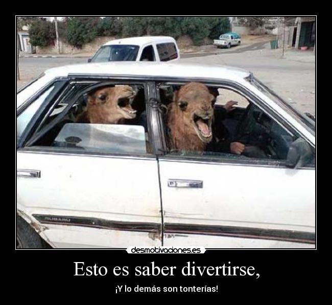 Esto es saber divertirse, -