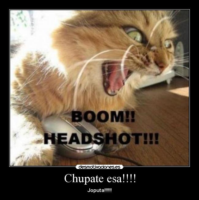 Chupate esa!!!! -