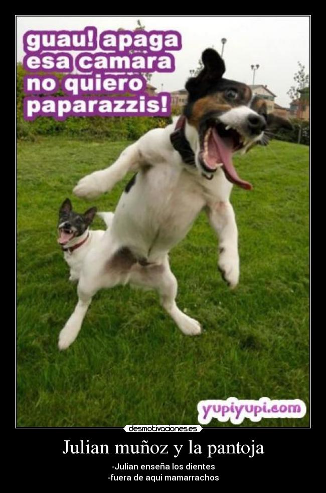 Julian muñoz y la pantoja - -Julian enseña los dientes
-fuera de aqui mamarrachos