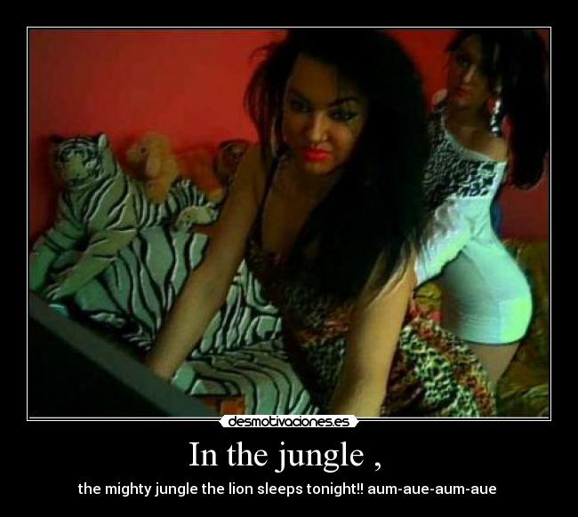 In the jungle , - the mighty jungle the lion sleeps tonight!! aum-aue-aum-aue