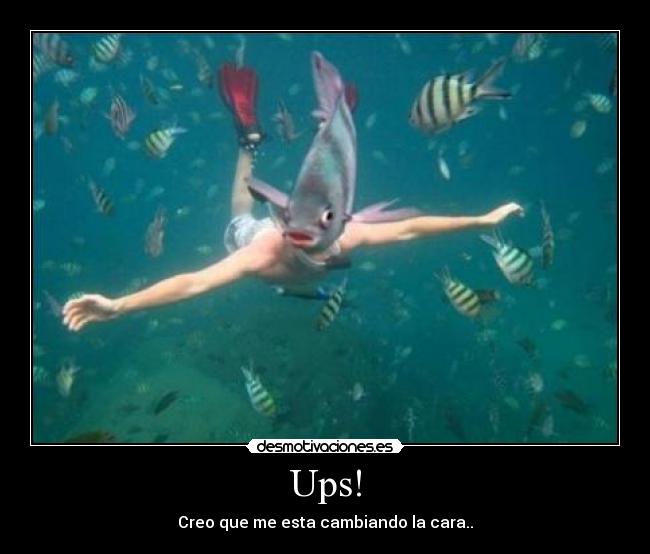 Ups! - Creo que me esta cambiando la cara..