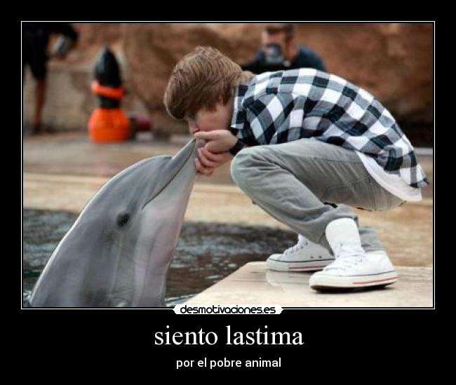 siento lastima - por el pobre animal
