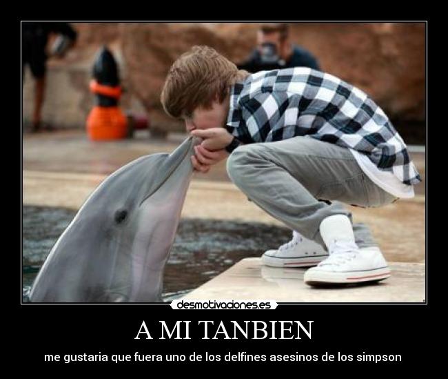 A MI TANBIEN - me gustaria que fuera uno de los delfines asesinos de los simpson