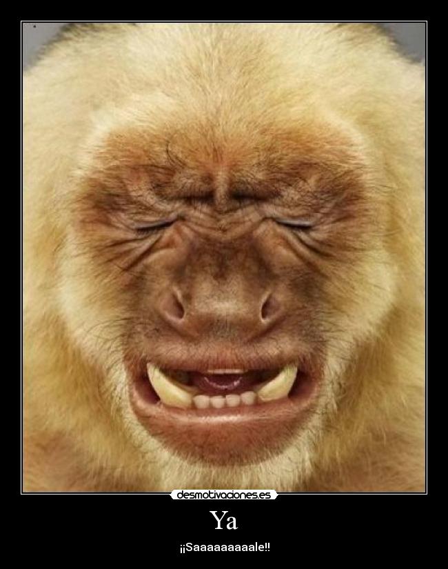 Ya - ¡¡Saaaaaaaaale!!