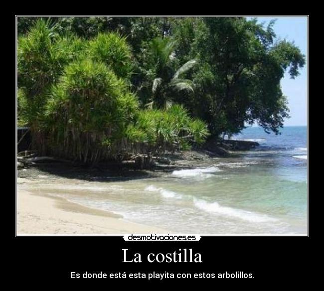 La costilla -