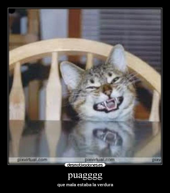 puagggg - que mala estaba la verdura