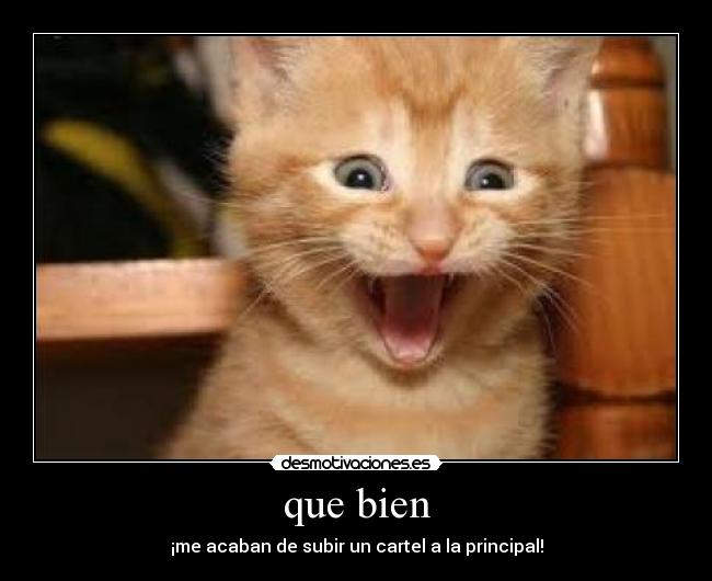 que bien - ¡me acaban de subir un cartel a la principal!
