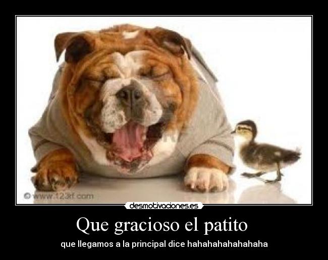 Que gracioso el patito -