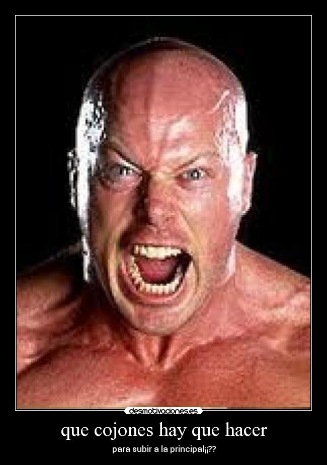 que cojones hay que hacer - 