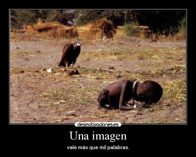 Una imagen - 