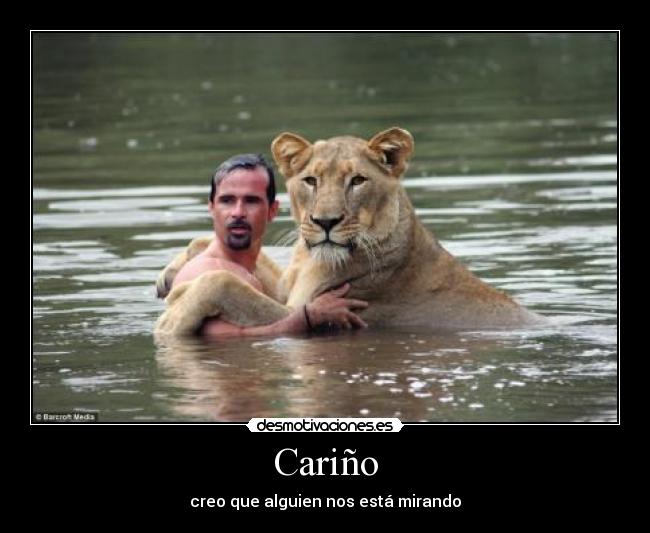 Cariño - 