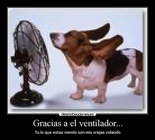 Gracias a el ventilador... - 
