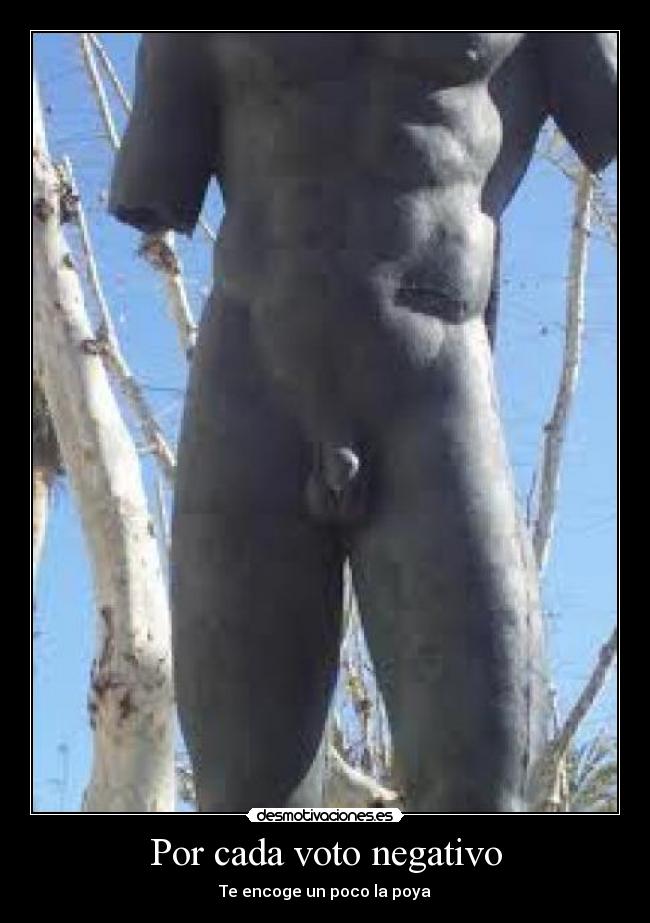 Por cada voto negativo - 
