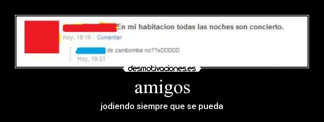 amigos - 