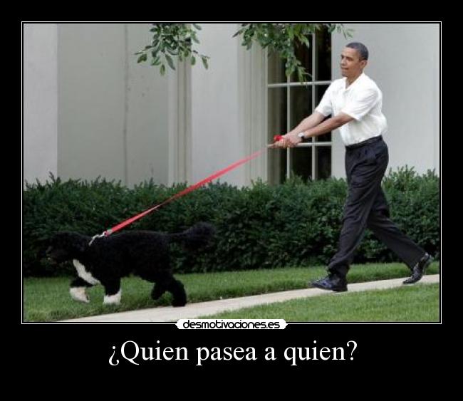 ¿Quien pasea a quien? -