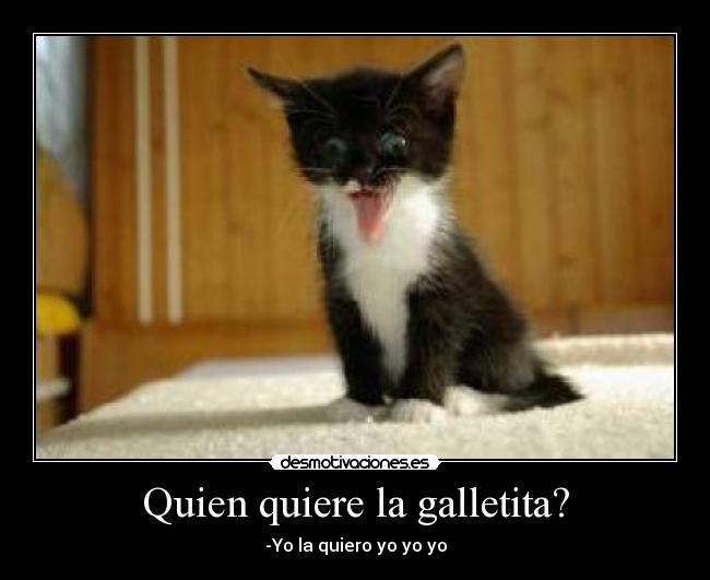 Quien quiere la galletita? - -Yo la quiero yo yo yo
