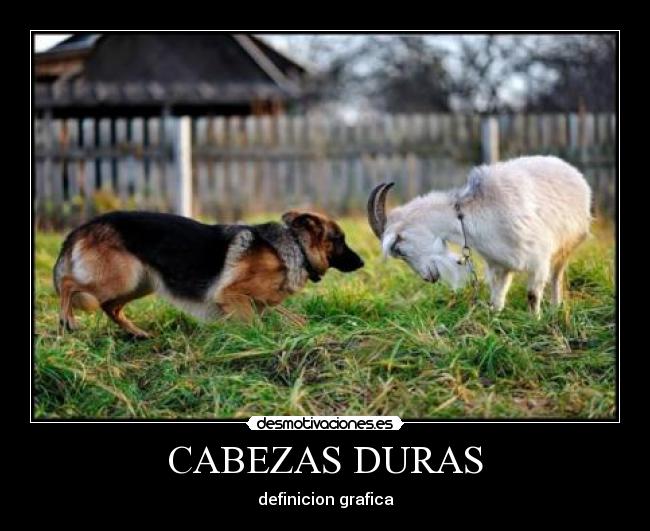 CABEZAS DURAS - definicion grafica