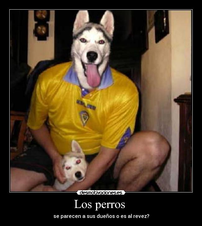 Los perros -