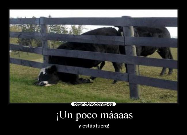 ¡Un poco máaaas - y estás fuera!