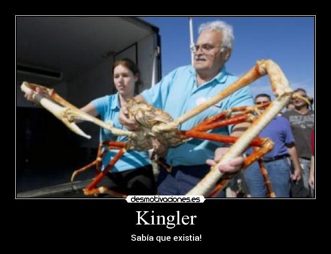 Kingler -