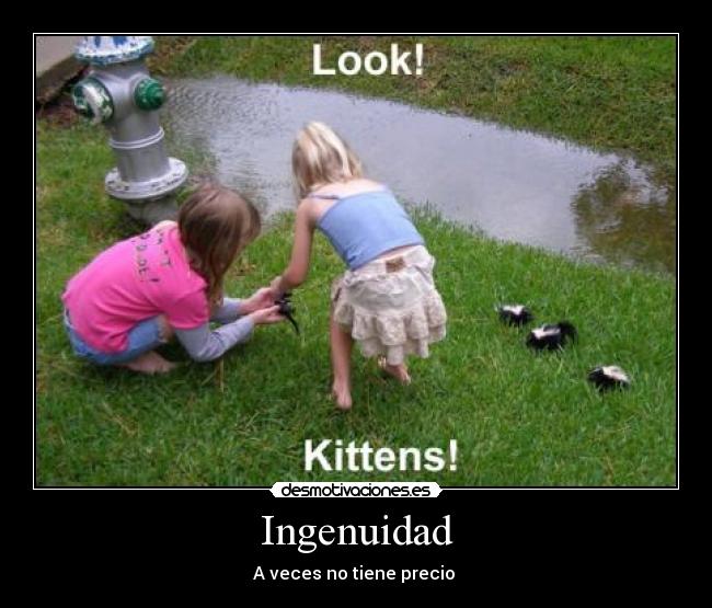 Ingenuidad - 