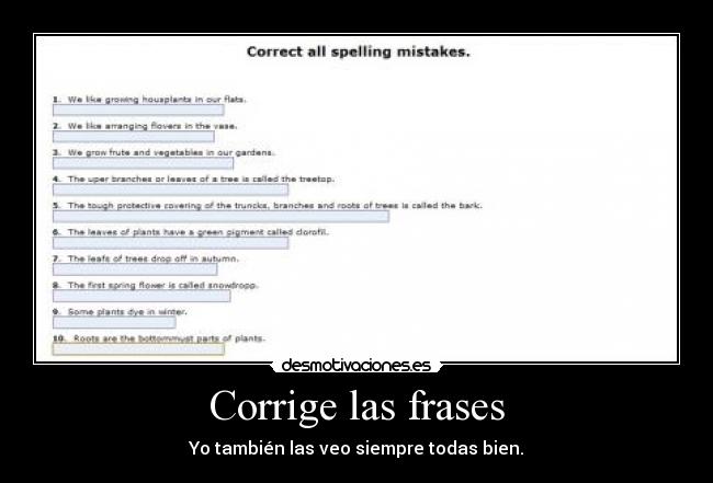 Corrige las frases - Yo también las veo siempre todas bien.