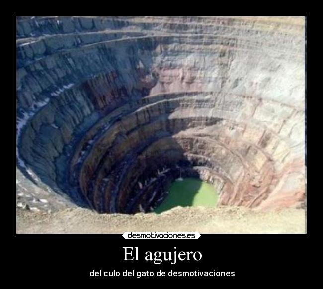 carteles gatosmaricon desmotivaciones