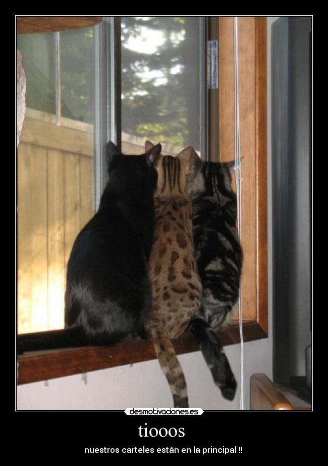 tiooos - nuestros carteles están en la principal !!