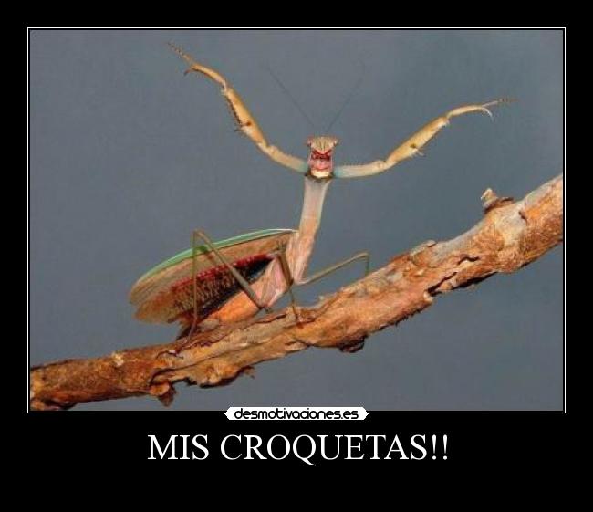 MIS CROQUETAS!! - 