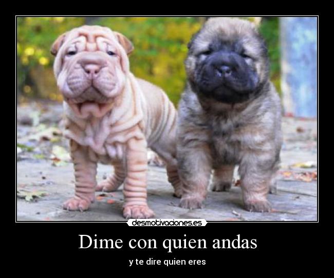 Dime con quien andas - 