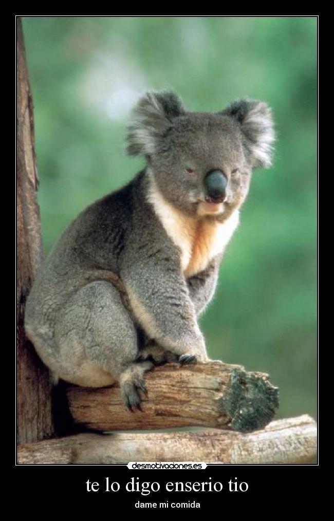te lo digo enserio tio - 