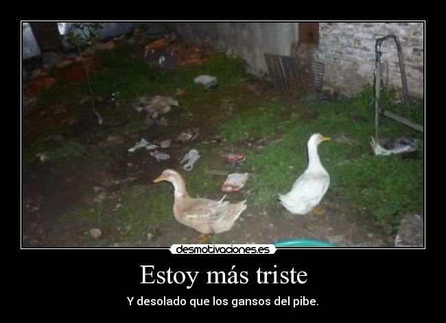 Estoy más triste -