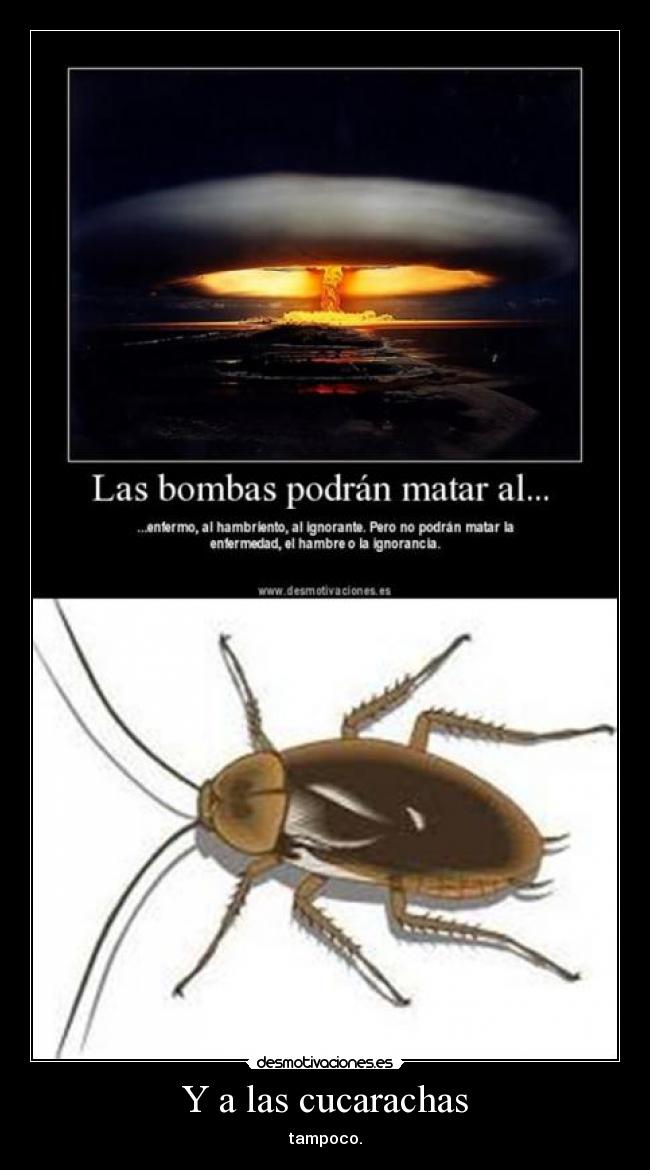 Y a las cucarachas -