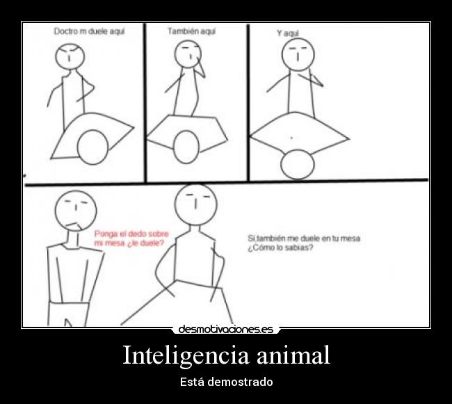 Inteligencia animal -