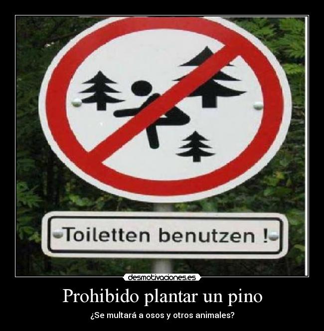 Prohibido plantar un pino - ¿Se multará a osos y otros animales?
