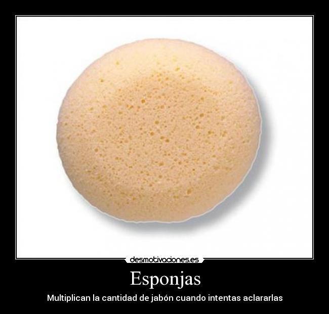 Esponjas - 