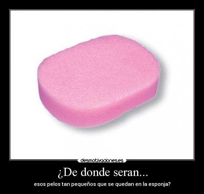 ¿De donde seran... - esos pelos tan pequeños que se quedan en la esponja?