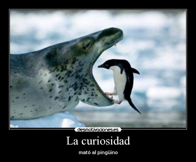 La curiosidad -