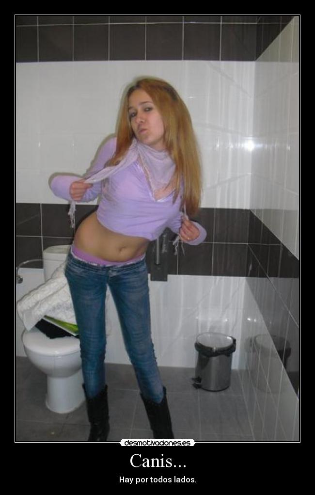 carteles canis desmotivaciones