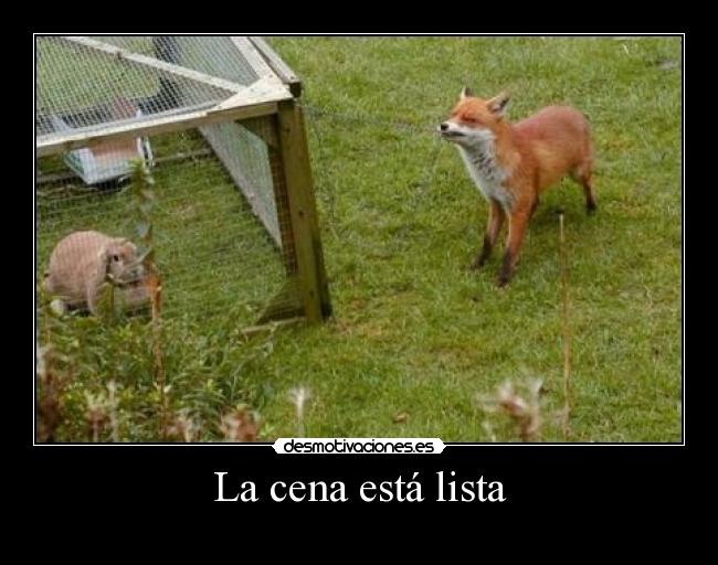 carteles cena esta lista zorro conejo rob desmotivaciones